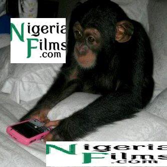 Funny Picture: Ape On Blackberry