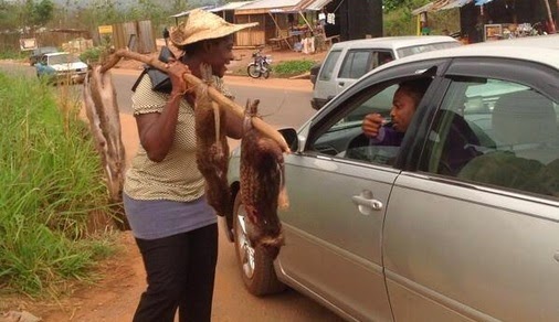 SEE Mercy Johnson Risking Her Life With Deadly Ebola Virus