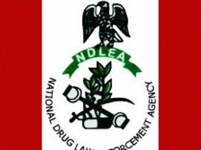 NDLEA Arrests Popular Comedian For Drug Ingestion