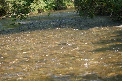 Bloody Bath: Two Brothers Die During A Spiritual Bath In The River