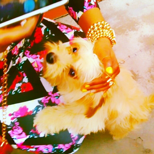 Halima Abubakar Devastated Over Loss Of Dog