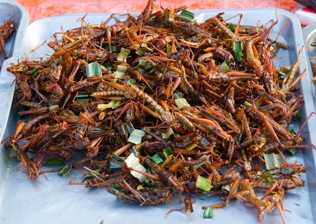 Ebola: Professor Advises Nigerians To Eat Insects Instead Of Bush Meats