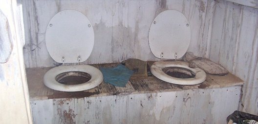 Hoodlums dumps 2 pupils into pit toilet