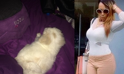 Rukky Sanda Gradually Loosing Her Mind Over Puppy