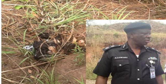 Stephanie Okereke Ex-Hubby’s Dad’s Decomposed Body Found In Bush