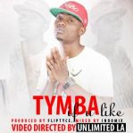 Tymba – If You Like (Music Video)