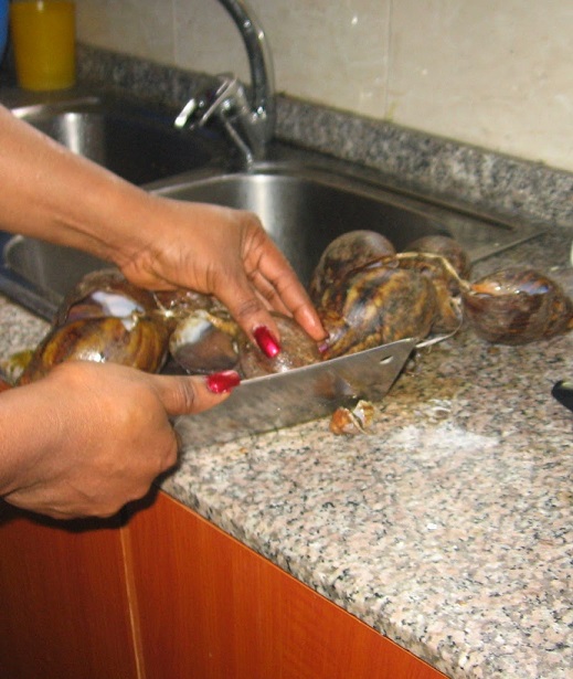 How to Prepare Snails For Cooking, Pictures From Scratch